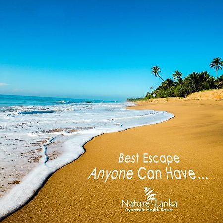 Nature Lanka Ayurveda Resort - All Meals And Ayurveda Treatments With Yoga แทนกาลเล ภายนอก รูปภาพ