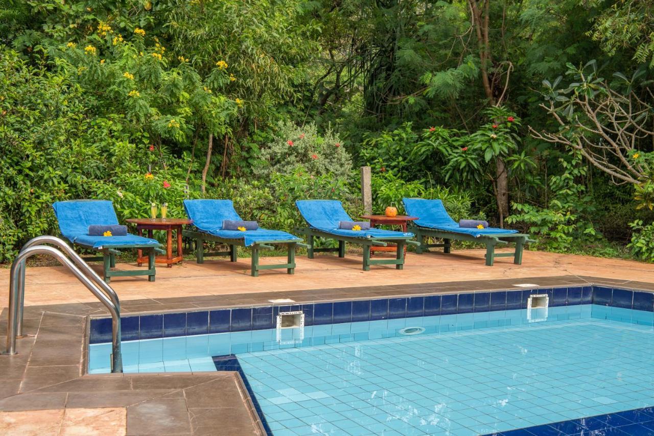 Nature Lanka Ayurveda Resort - All Meals And Ayurveda Treatments With Yoga แทนกาลเล ภายนอก รูปภาพ