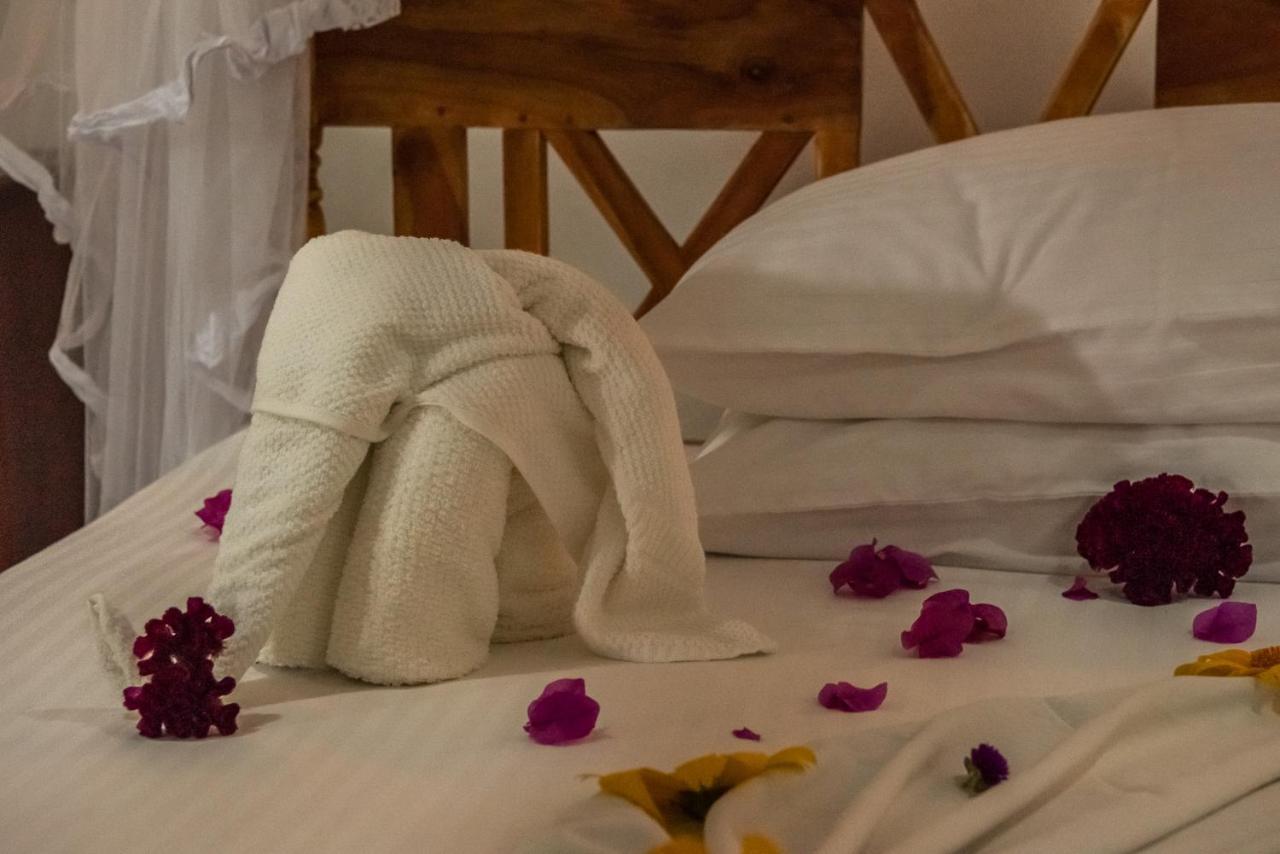 Nature Lanka Ayurveda Resort - All Meals And Ayurveda Treatments With Yoga แทนกาลเล ภายนอก รูปภาพ