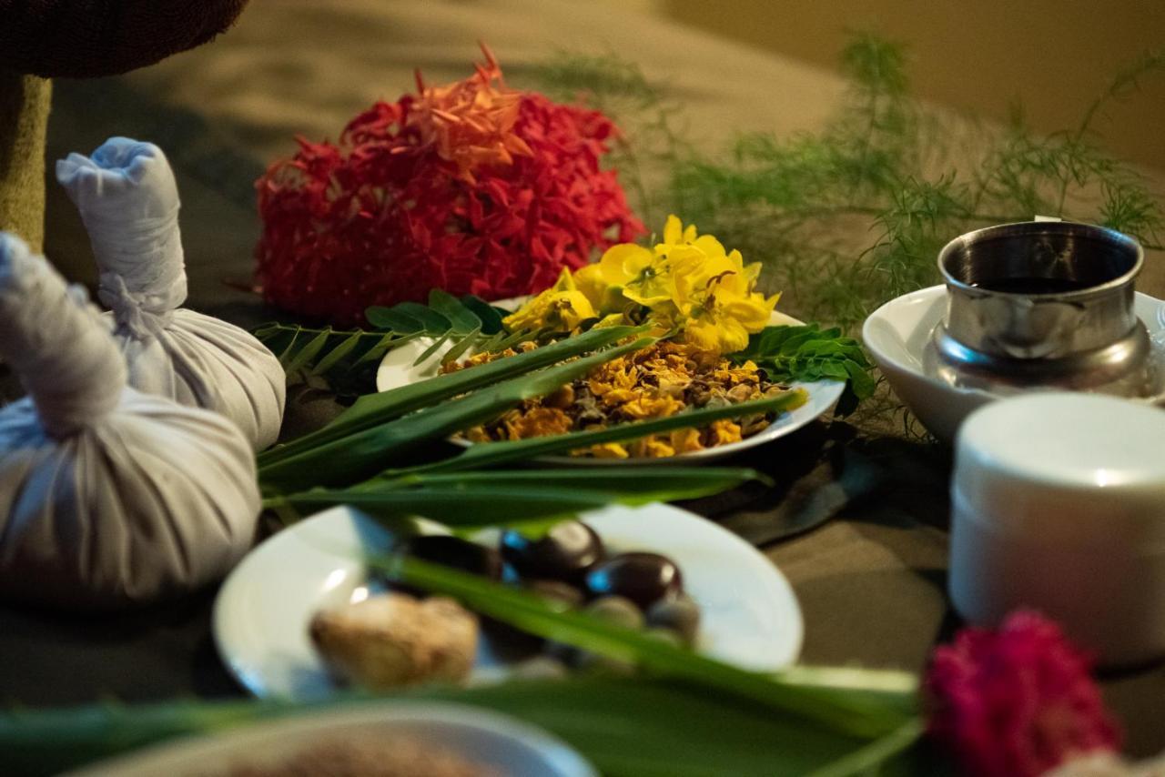 Nature Lanka Ayurveda Resort - All Meals And Ayurveda Treatments With Yoga แทนกาลเล ภายนอก รูปภาพ