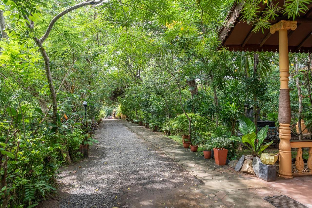 Nature Lanka Ayurveda Resort - All Meals And Ayurveda Treatments With Yoga แทนกาลเล ภายนอก รูปภาพ