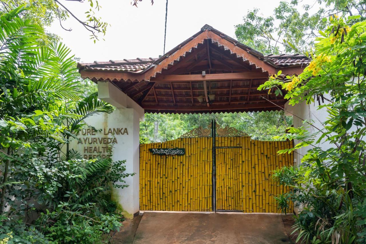 Nature Lanka Ayurveda Resort - All Meals And Ayurveda Treatments With Yoga แทนกาลเล ภายนอก รูปภาพ