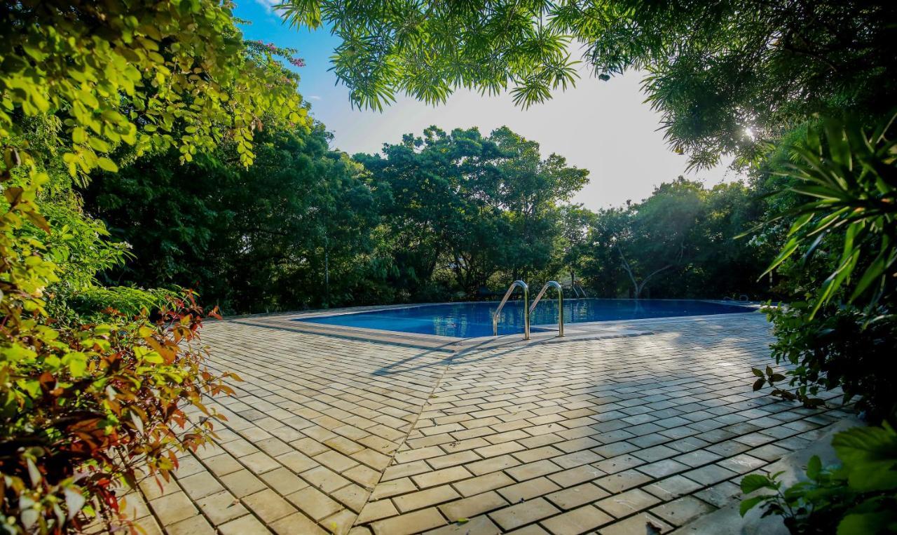 Nature Lanka Ayurveda Resort - All Meals And Ayurveda Treatments With Yoga แทนกาลเล ภายนอก รูปภาพ