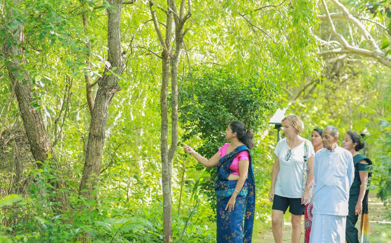 Nature Lanka Ayurveda Resort - All Meals And Ayurveda Treatments With Yoga แทนกาลเล ภายนอก รูปภาพ