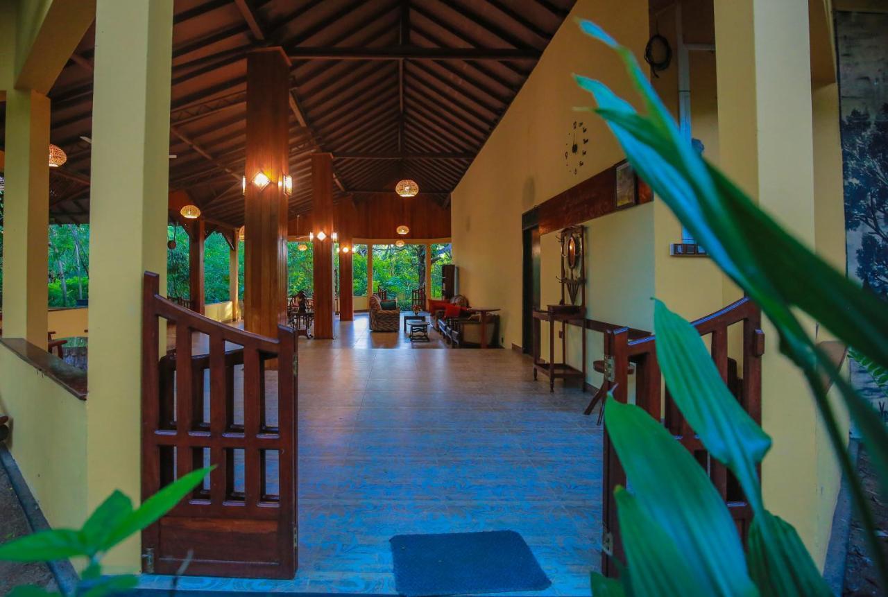 Nature Lanka Ayurveda Resort - All Meals And Ayurveda Treatments With Yoga แทนกาลเล ภายนอก รูปภาพ
