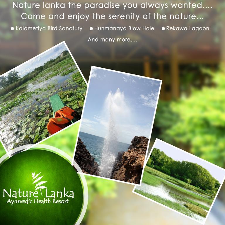 Nature Lanka Ayurveda Resort - All Meals And Ayurveda Treatments With Yoga แทนกาลเล ภายนอก รูปภาพ