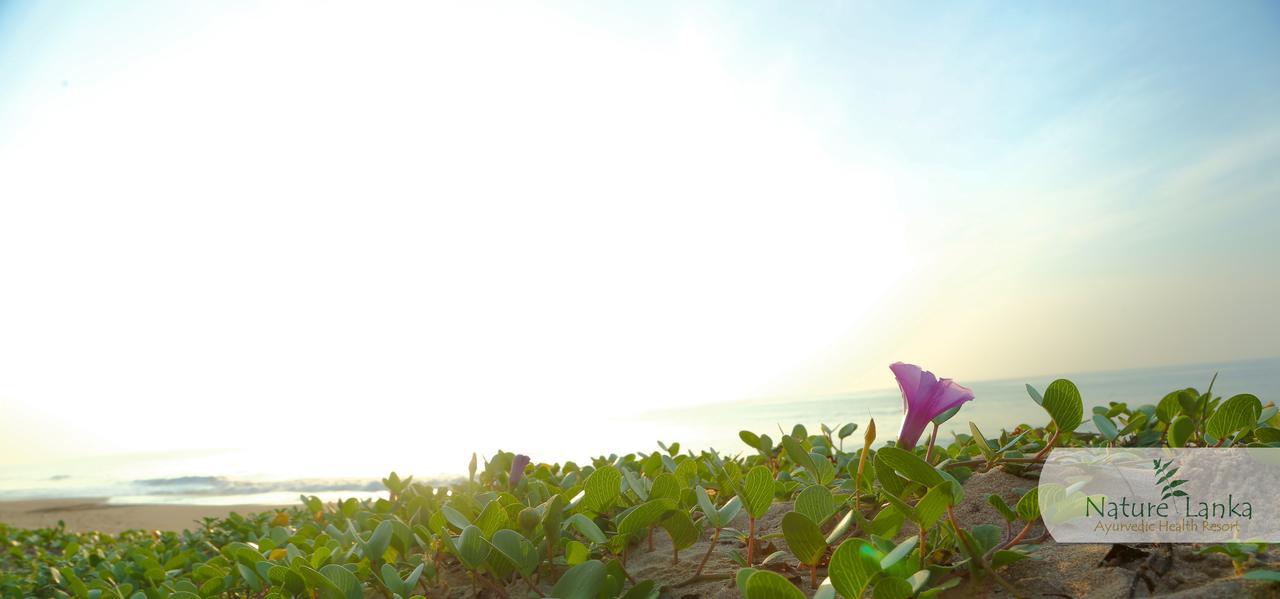 Nature Lanka Ayurveda Resort - All Meals And Ayurveda Treatments With Yoga แทนกาลเล ภายนอก รูปภาพ