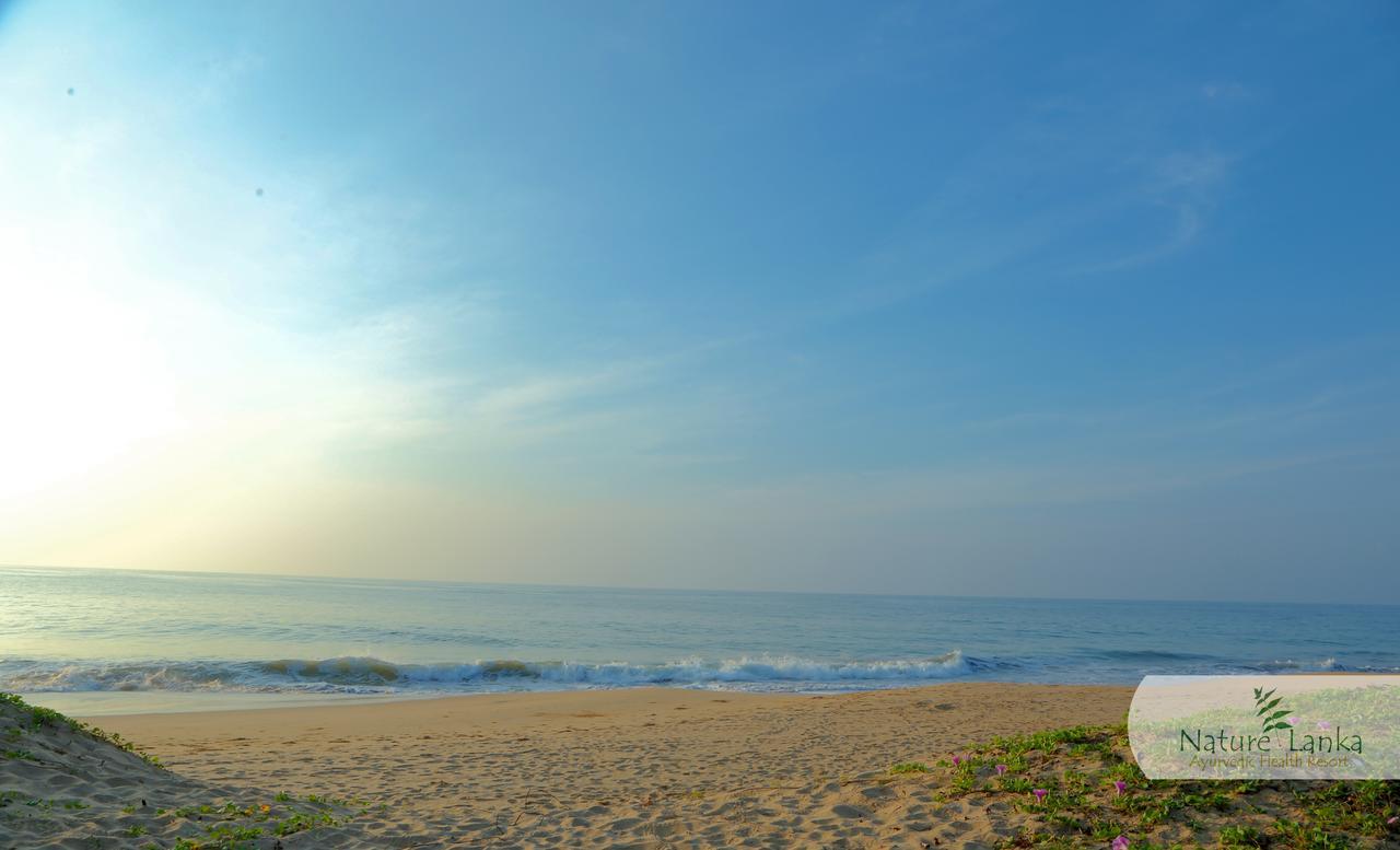 Nature Lanka Ayurveda Resort - All Meals And Ayurveda Treatments With Yoga แทนกาลเล ภายนอก รูปภาพ