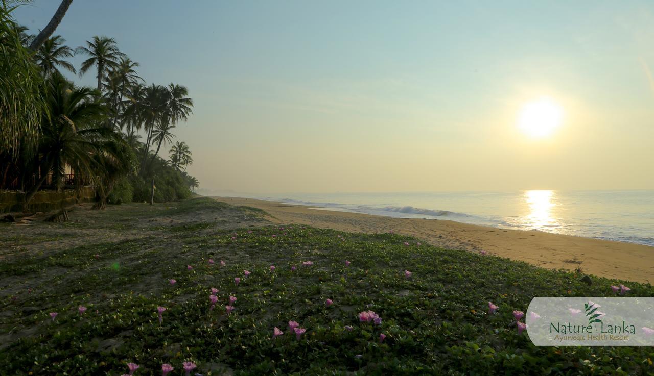 Nature Lanka Ayurveda Resort - All Meals And Ayurveda Treatments With Yoga แทนกาลเล ภายนอก รูปภาพ