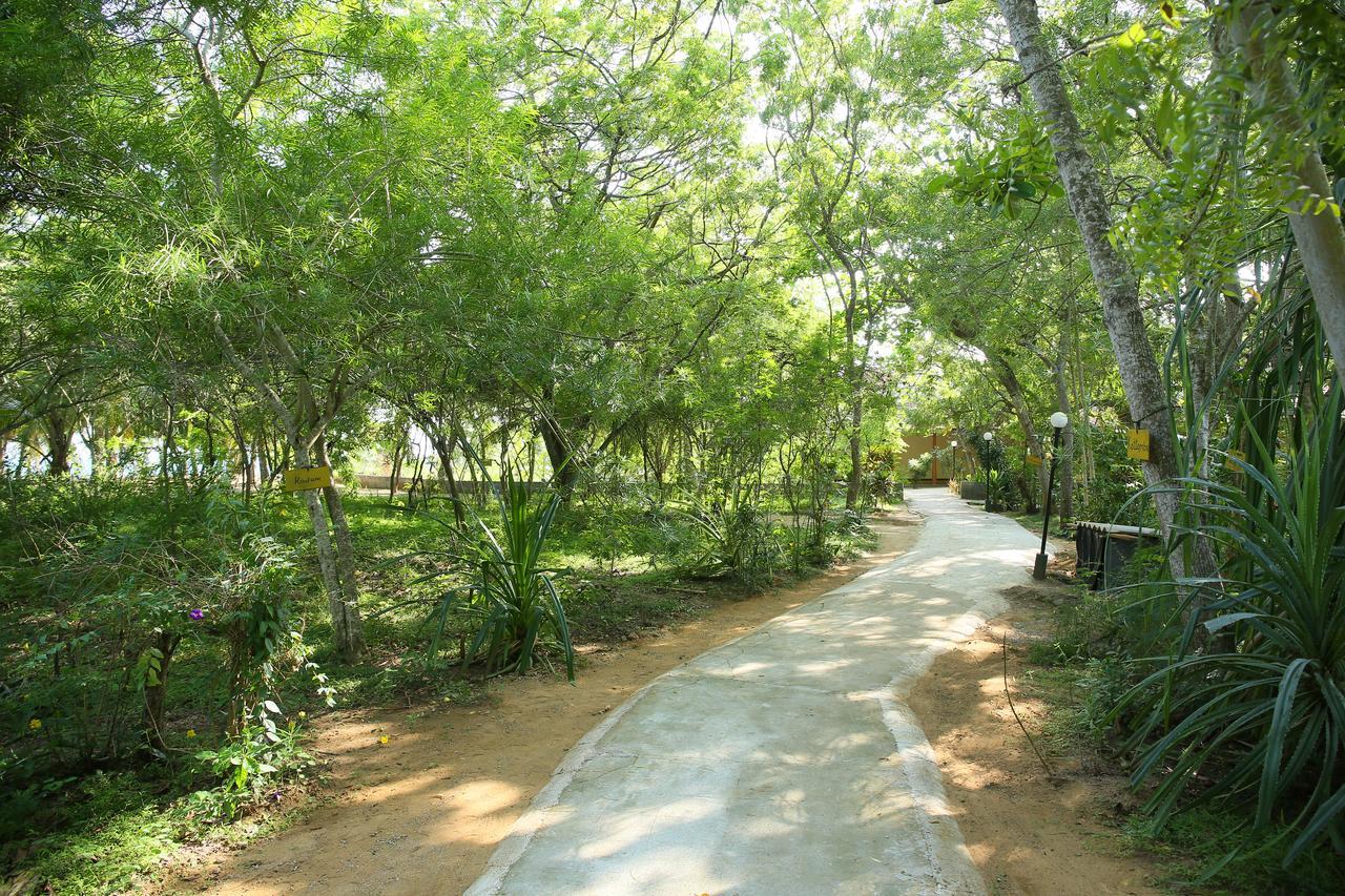 Nature Lanka Ayurveda Resort - All Meals And Ayurveda Treatments With Yoga แทนกาลเล ภายนอก รูปภาพ