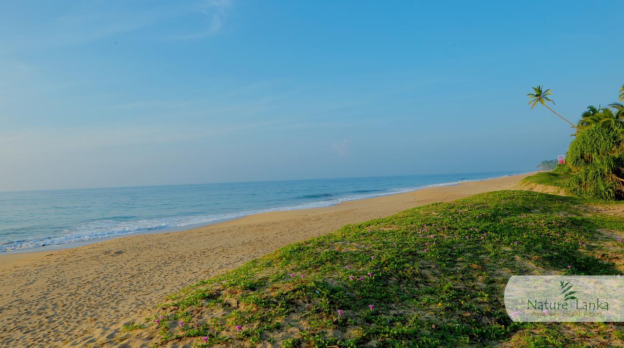 Nature Lanka Ayurveda Resort - All Meals And Ayurveda Treatments With Yoga แทนกาลเล ภายนอก รูปภาพ