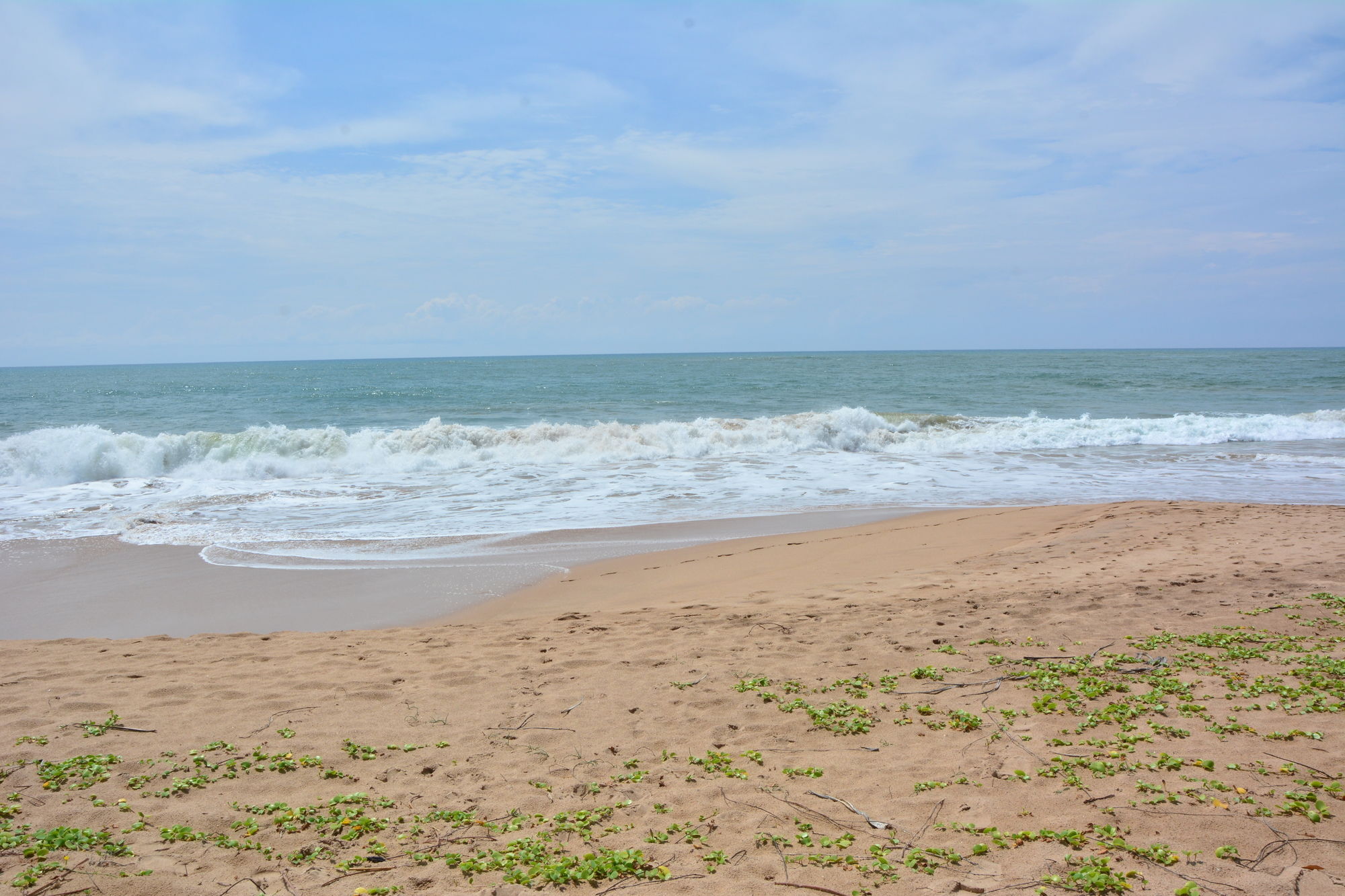 Nature Lanka Ayurveda Resort - All Meals And Ayurveda Treatments With Yoga แทนกาลเล ภายนอก รูปภาพ