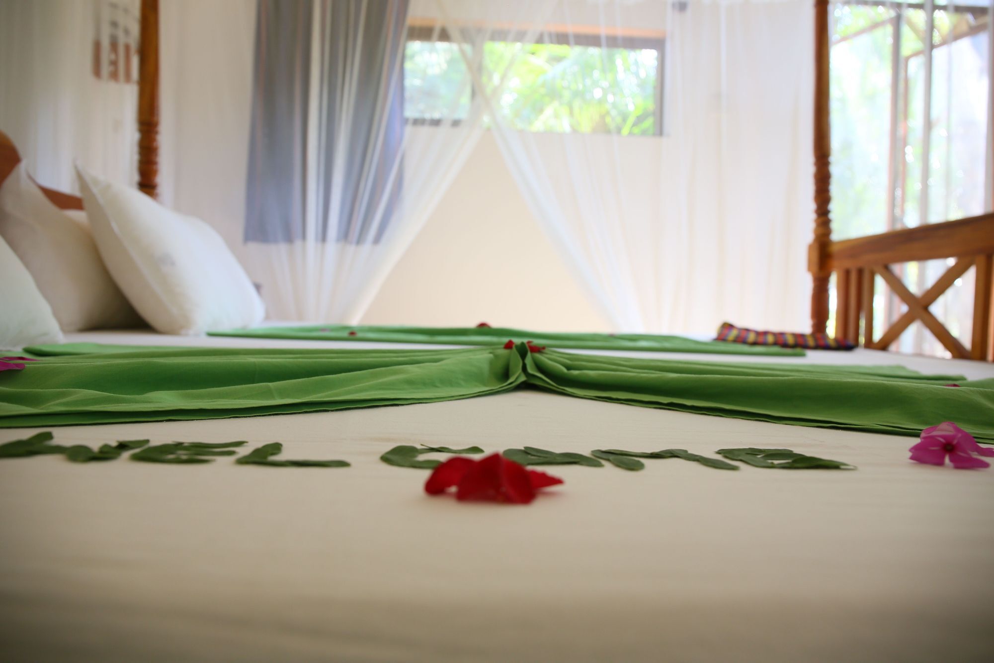 Nature Lanka Ayurveda Resort - All Meals And Ayurveda Treatments With Yoga แทนกาลเล ภายนอก รูปภาพ